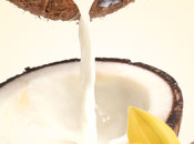 Coconut Vanilla Type Fragrance