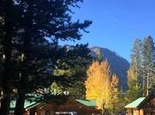 Cabin With View: Road Trip