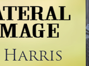 Collateral Damage Susan Harris @JGBookSolutions @SuzHarrisWrites