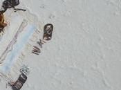 Video: Renan Ozturk Obsessed Devoted?