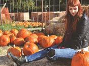 Pumpkins Queens Country Farm Museum