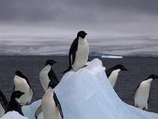 Antarctica 2016: Season Begins Today!