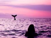 Wonder Peace, Love Patchouli