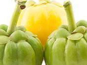 Garcinia Cambogia: Evidence-Based Review