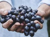 What Organic Food Health Benefits Eating