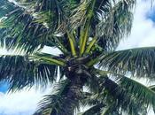 Dream Vacation Oahu Planning Key. Part City