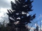 Pension Plans Good Ways Save Retirement? Part Company Perspective