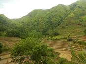 Experience Antique: Cultural Immersion Scenic Antique Rice Terraces