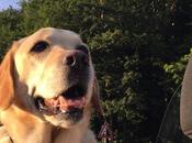 Essential Travel Tips FACE Foundation