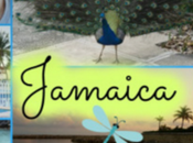 Jamaica Travel Vlog Sincerely,