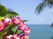 Eco-Resorts: Trippin’ Green Easy