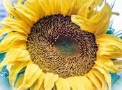 Blog: Creativity Need Give Away Adventures Wonderland