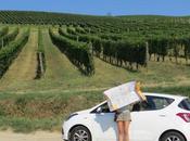 Truth Behind Travel Blogs Bakersfield Blonde