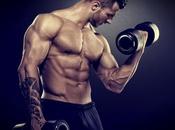 Lift Ripped Muscle Routine Layout Regular Skinny