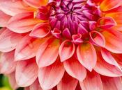 Weeks Letter Challenge