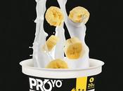 Gluten Free Product Review ProYo
