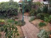 This Lime Tree Bower Prison