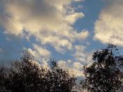 Happy Thanksgiving Morning