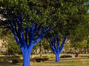 Blue Trees