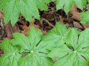 Building Safety Your Children