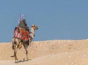 Tour Tour? Independent Travel Versus Travelling With Group