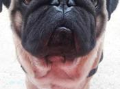 Baby’s First Friend: Episode