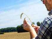 Nitrogen Pollution: Forgotten Element Climate Change