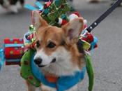 Funny Festive Dogs Dressed Christmas Trees