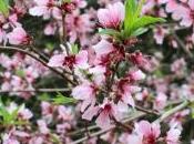 Better Welfare System