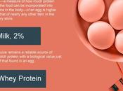 High Protein Foods Muscle Building