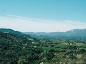 Activities Cape Winelands