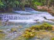 Mesmerizing Beauty Kawasan Falls Cebu