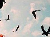 Carrion Betsy Reavley REVIEW