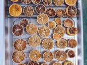 Oven Dehydrated Citrus Holiday Decorating