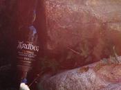 Ardbeg 2015 Release Review