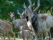 Wildlife Conservation Society’s Favourite Pictures 2016