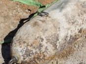 Defence Minister Makes Nuke Threat Reacting False News Article