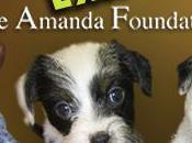 Vault Visits Amanda Foundation