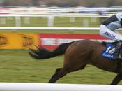 Horseracing Fatalities Cheltenham: Should Sport Kings Banned?