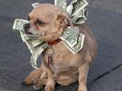 World's Richest Pets