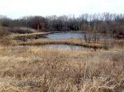 General Mills Research Nature Area... Example Minnesota Named Country's 'Best Trails State'