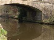 Canals Reflections