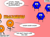 Concerned About Cholesterol Carb? Read This!