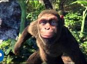 Upbeat Weddings Songs Wedding