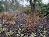 Wisley Brown Winter Coat