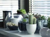 Decorating Rented Home