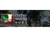 FIRE CHIEF City Mount Dora (FL)