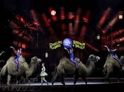 Ringling Brothers Circus “The Greatest Show Earth” Closing