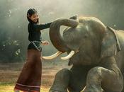 Best Websites Sourcing Free Stock Photos