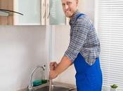 What Plumbing Tips Avoid Blocked Drains Summer?